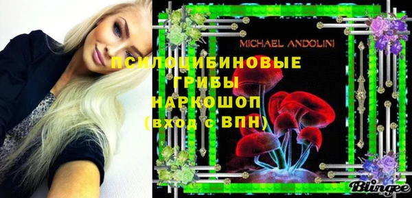 мдпв Корсаков