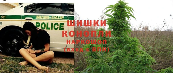 мдпв Корсаков