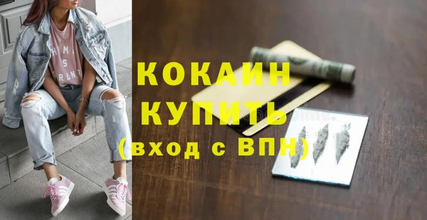 мдпв Козельск