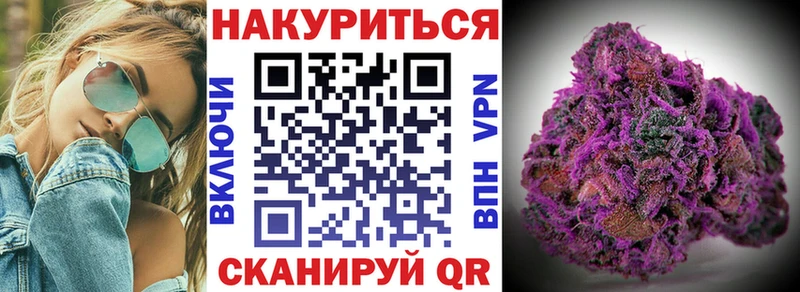 Купить  Всеволожск  Бошки марихуана ГИДРОПОН 